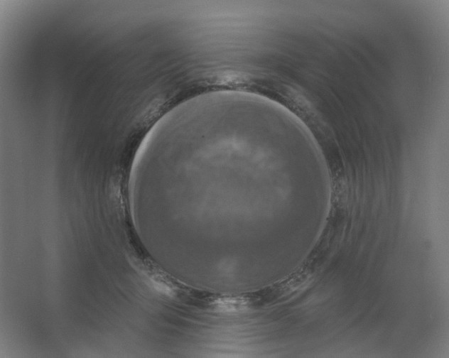 X0000066510415200604141753