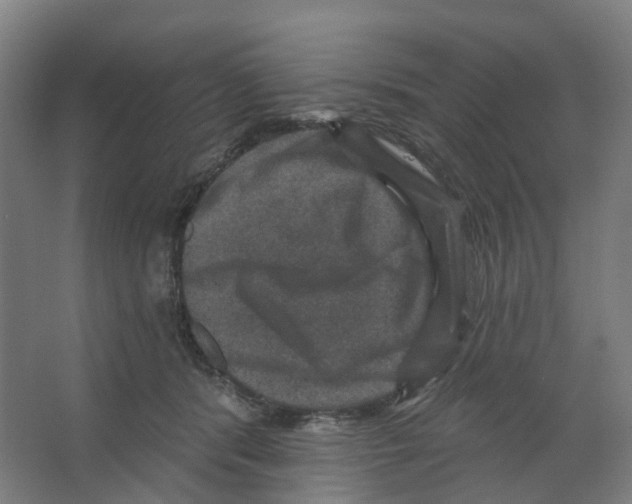 X0000066510416200604141753