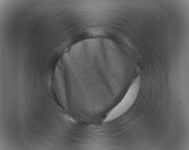X0000066510417200604141753