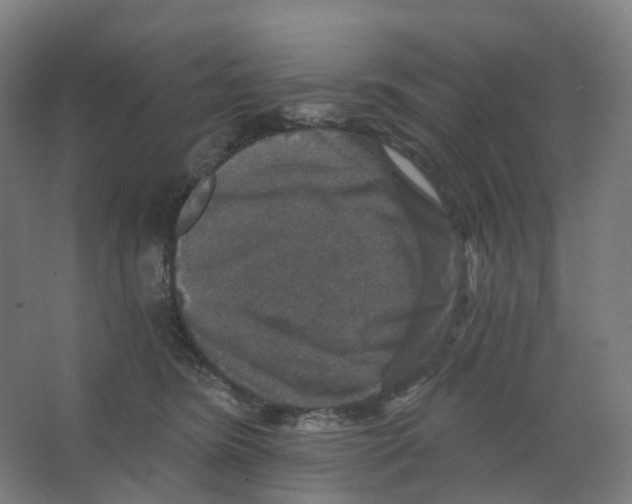 X0000066510420200604141753