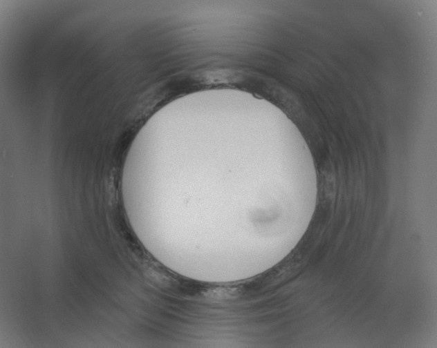 X0000066510422200604141753