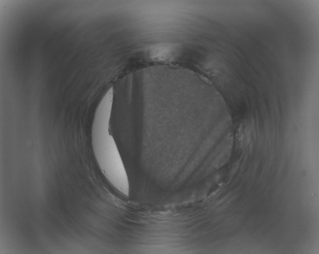 X0000066510424200604141753