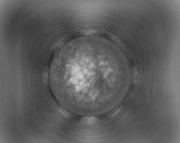 X0000066510427200604141753