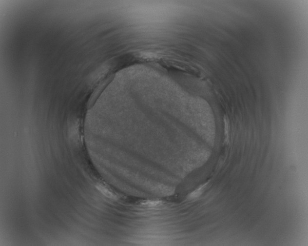 X0000066510428200604141753