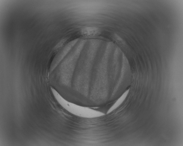X0000066510429200604141753