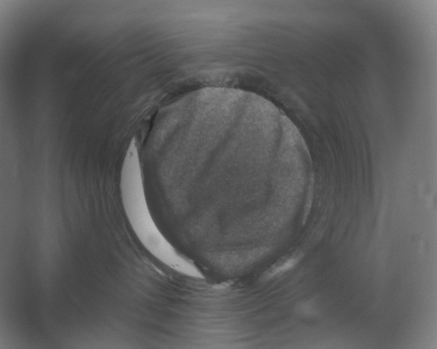 X0000066510432200604141753