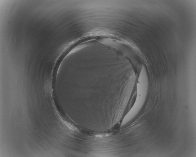 X0000066510438200604141752