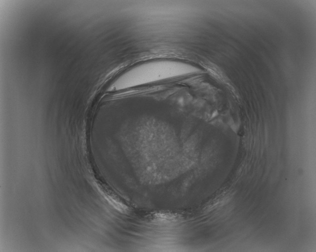 X0000066510442200604141752