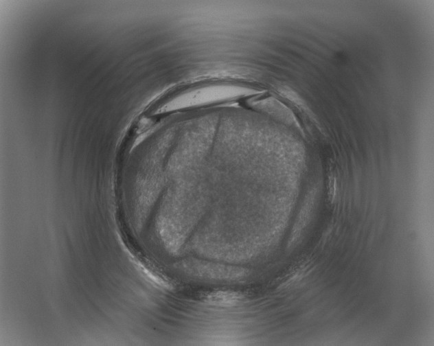 X0000066510444200604141752
