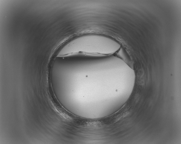 X0000066510446200604141752