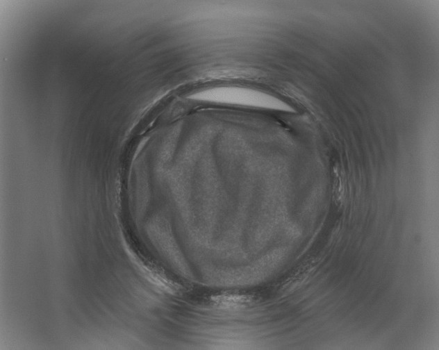 X0000066510448200604141752
