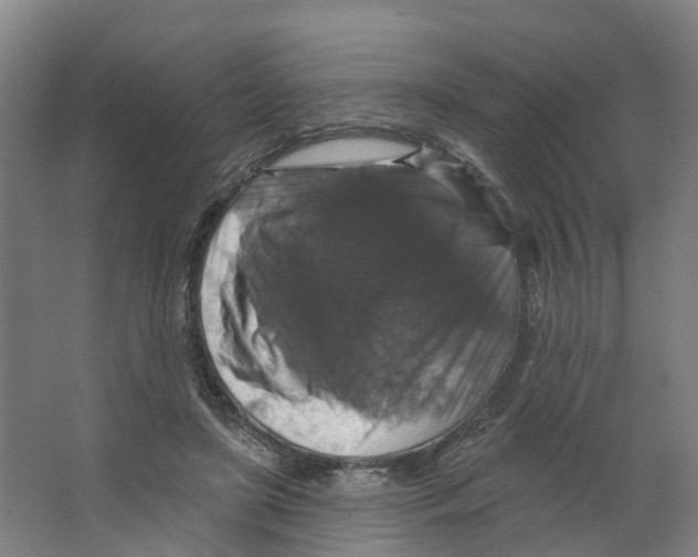 X0000066510451200604141752