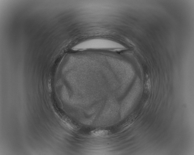 X0000066510452200604141752