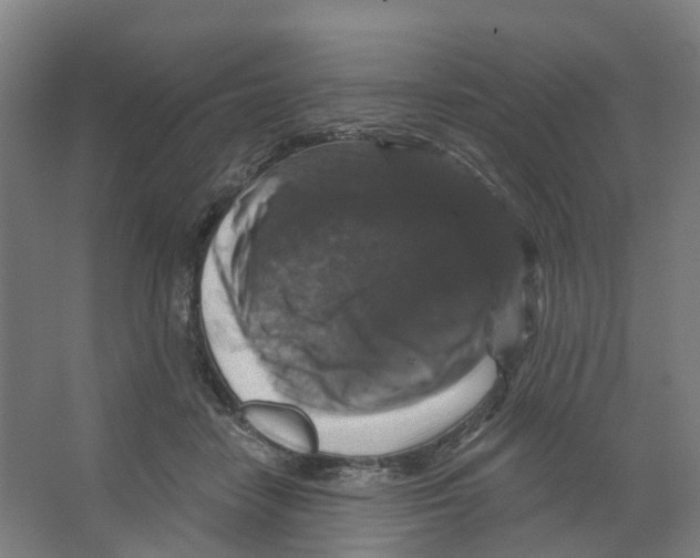 X0000066510458200604141752
