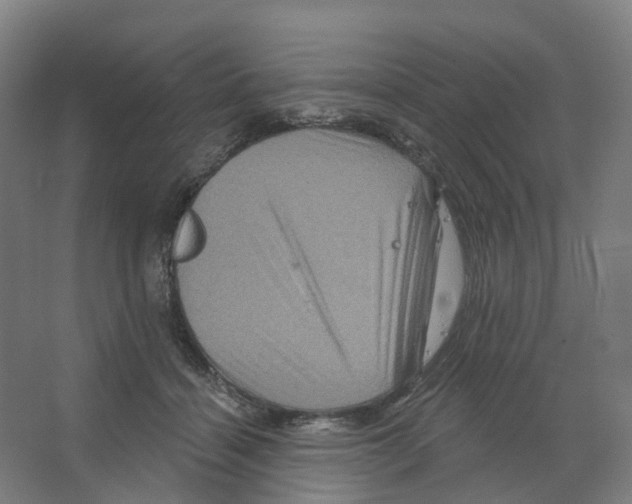 X0000066510460200604141752
