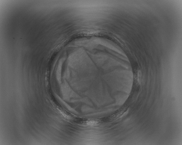 X0000066510462200604141752