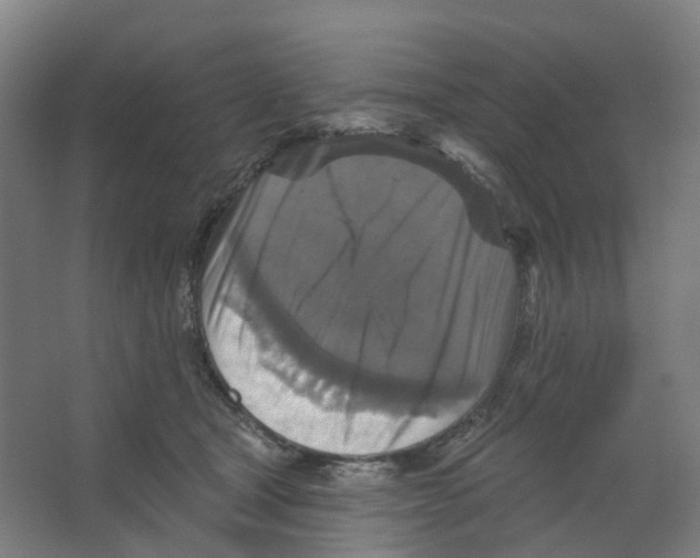X0000066510465200604141752