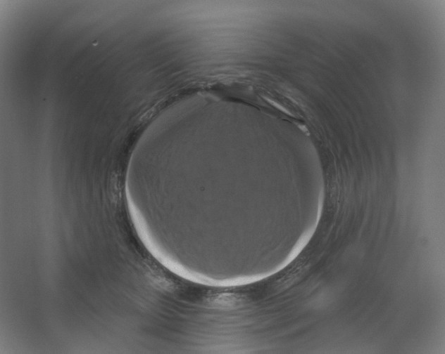 X0000066510467200604141752