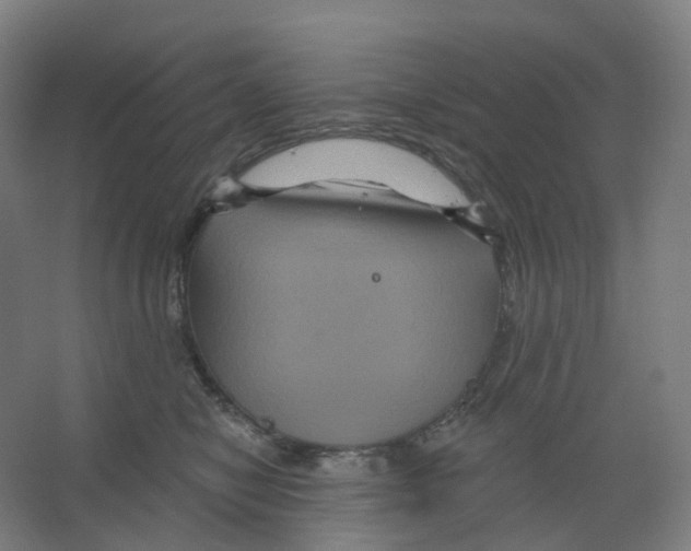X0000066510470200604141753