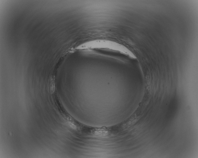 X0000066510471200604141753