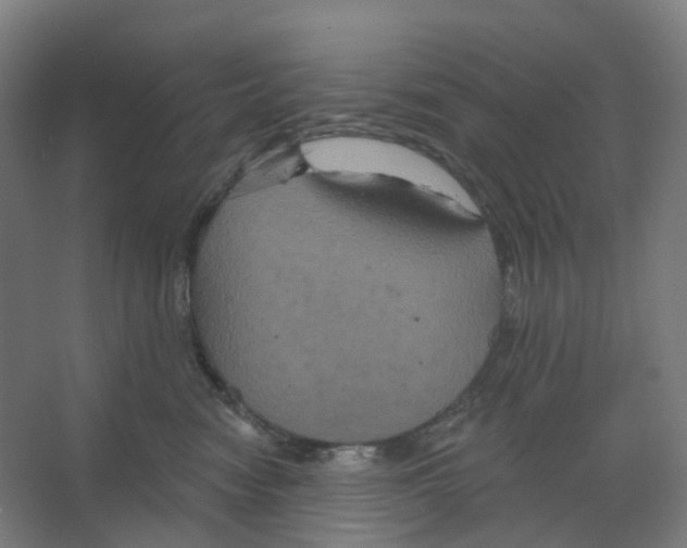 X0000066510474200604141753