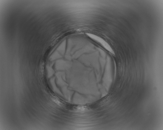 X0000066510475200604141753