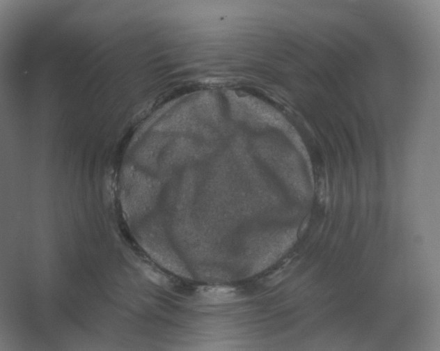 X0000066510476200604141753