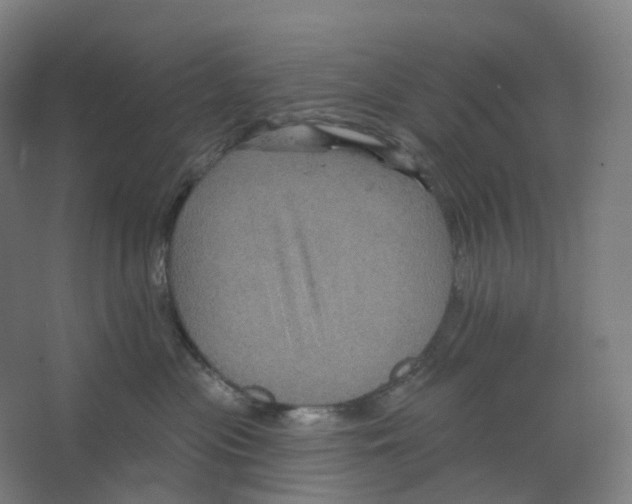 X0000066510477200604141753