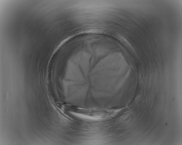 X0000066510484200604141752