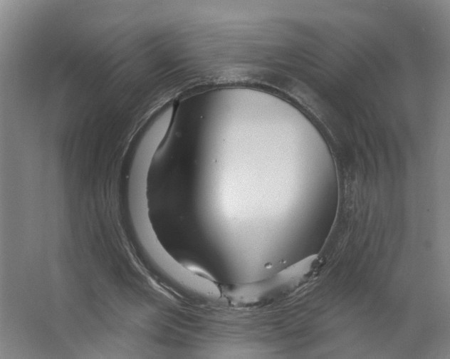 X0000066510485200604141752