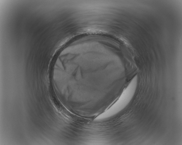 X0000066510488200604141752