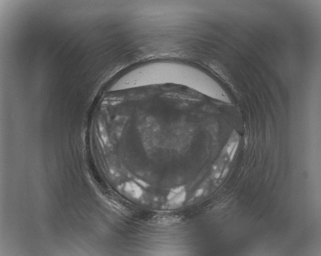 X0000066510491200604141752