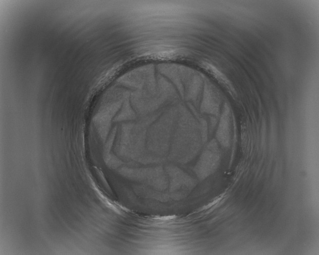 X0000066510493200604141752