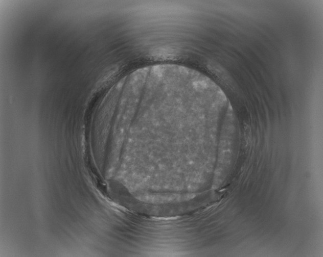 X0000066510494200604141752