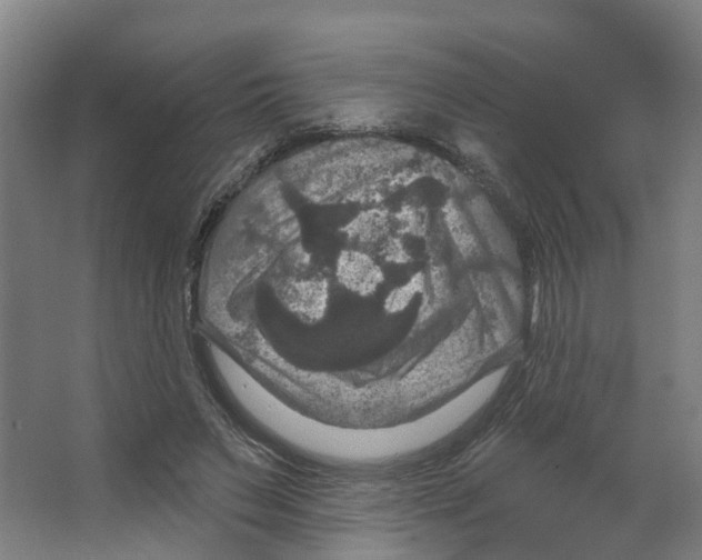 X0000066510495200604141752