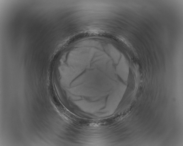 X0000066510496200604141752
