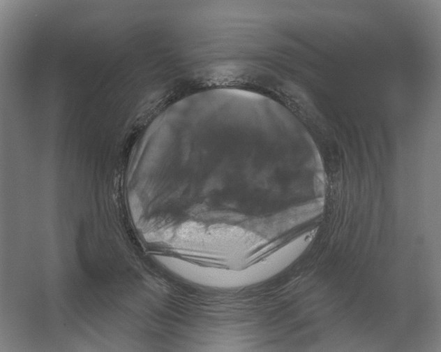 X0000066510503200604141752