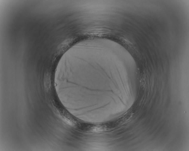 X0000066510504200604141752