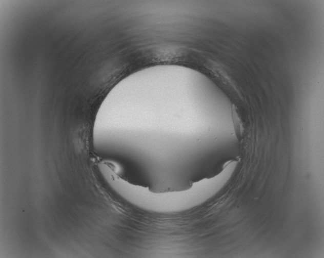 X0000066510505200604141751