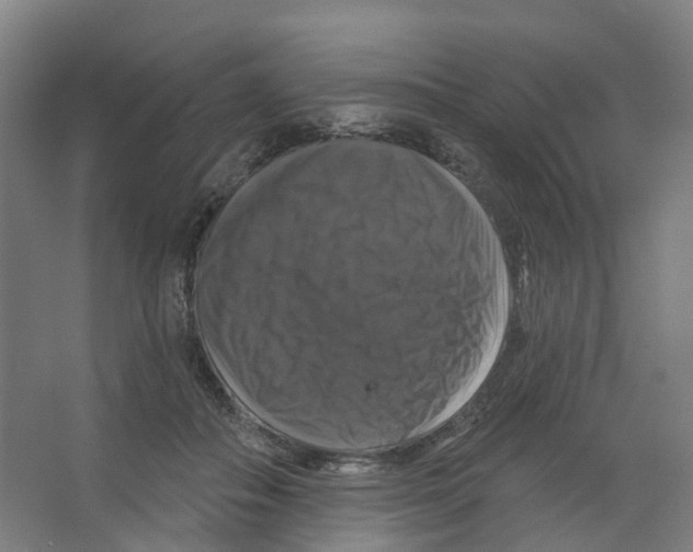 X0000066510506200604141751