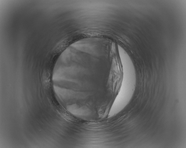 X0000066510507200604141751
