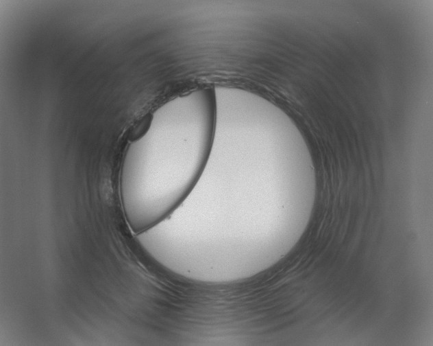 X0000066510508200604141751