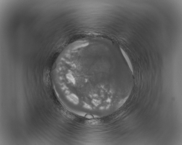 X0000066510511200604141751