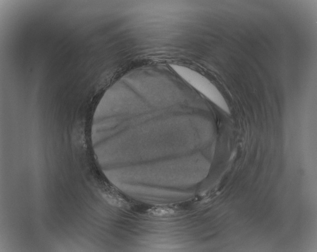 X0000066510512200604141751