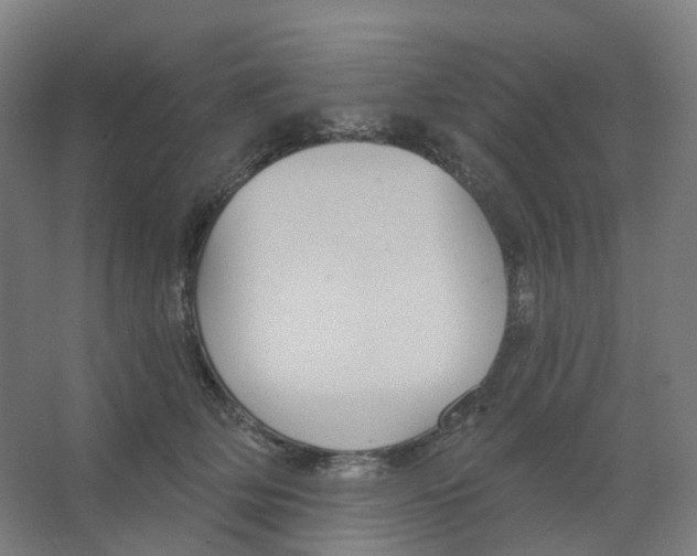 X0000066510514200604141751
