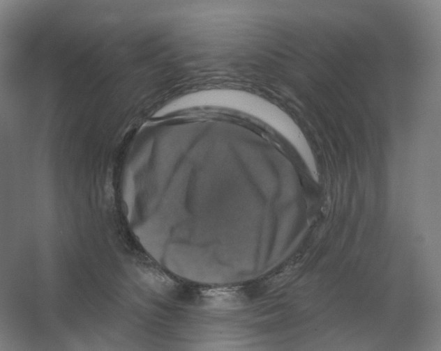 X0000066510516200604141751