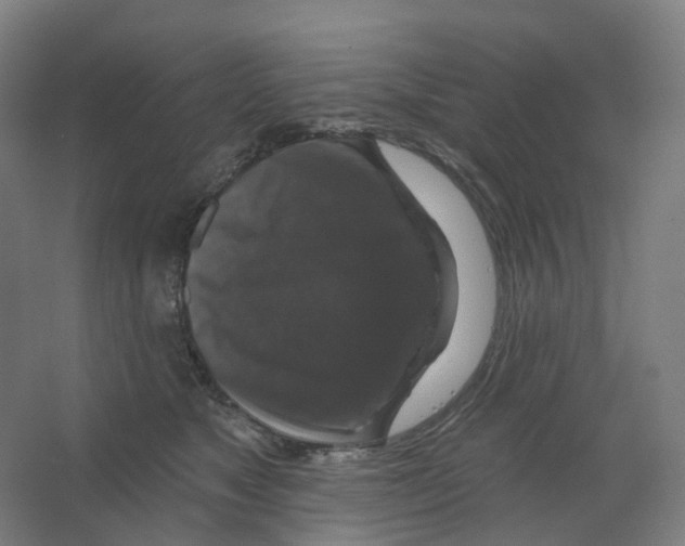 X0000066510517200604141751