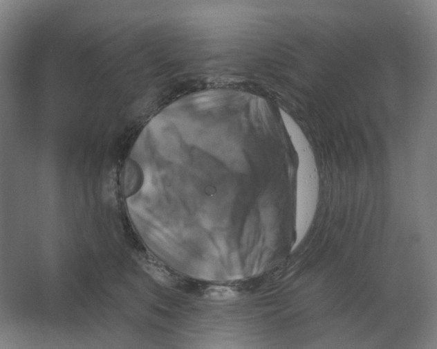 X0000066510519200604141751