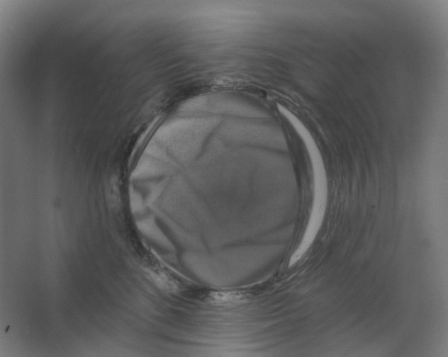 X0000066510520200604141751