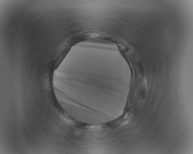 X0000066510524200604141751